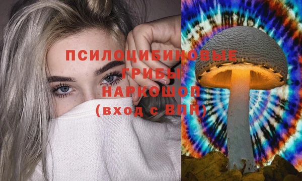 амфетамин Алексин