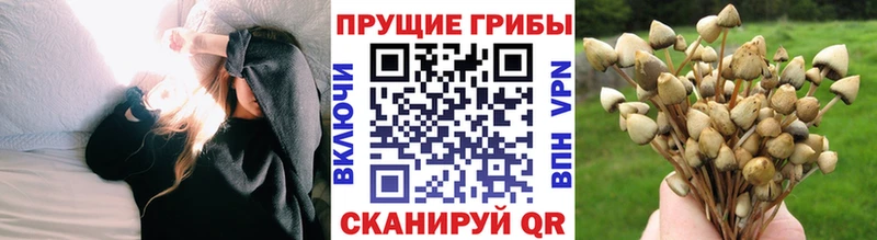 Псилоцибиновые грибы Magic Shrooms  Чистополь 